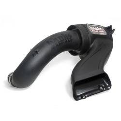 Banks Power - Banks Power 41888 Ram-Air Intake for 15-17 Ford F150 5.0 - Image 1