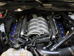 aFe Power - aFe 77-92011 Ignition Coil for Ford 5.0 - Image 5