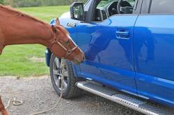 Dee Zee - Dee Zee DZ16421 6" Oval Cab Brite-Tread Side Step for 19-25 Dodge Ram Crew 1500 - Image 8