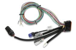 MSD - MSD Ignition 7730 Power Grid Ignition System Controller - Image 5