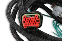 MSD - MSD Ignition 80002 EFI & LS Harness Pro 600 - Image 3