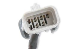MSD - MSD Ignition 80002 EFI & LS Harness Pro 600 - Image 5