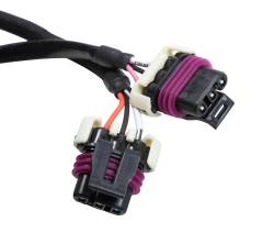 MSD - MSD Ignition 22791 24x/1x LS Rear Cam Sensor Harness for GM - Image 2