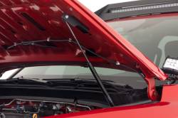 Rough Country Suspension Systems - Rough Country Hydraulic Hood Support Strut Kit for 24-25 Toyota Tacoma 72108 - Image 2