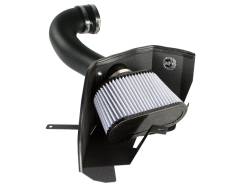 aFe Power - aFe Filters 51-10293 MagnumFORCE Stage-2 PRO DRY S Intake System - Image 1