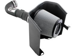 aFe Power - aFe Filters 51-10312-1 MagnumFORCE Stage-2 PRO DRY S Intake System - Image 1