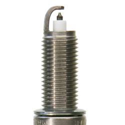Champion Spark Plug - Champion 7428 Double Platinum Boxed - Image 2