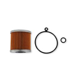 AEM Electronics - AEM Electronics 25-203 Fuel Filter Element - Image 1