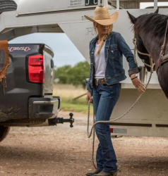 B&W Trailer Hitches - B&W Hitch BMTT31004 10K Triple Tow Ball Mnt-Pcwbag - Image 2