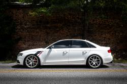 APR - APR PM100334 Sideburn Fender Decal - Image 4