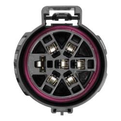 CURT - Custom Wiring Harness 7-Way RV Blade Output Select Honda Pilot - Image 2