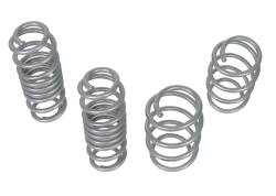 Whiteline - Whiteline WSK-VWN008 Coil Springs Lowered - Image 2