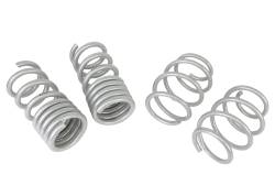 Whiteline - Whiteline WSK-FRD011 WL Coil Springs Lowered for 18-25 Mustang - Image 2