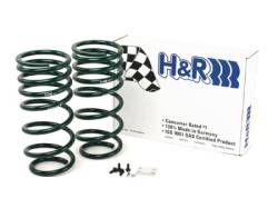 H&R Special Springs LP - H&R 54644 Raising Spring Kit - Image 2
