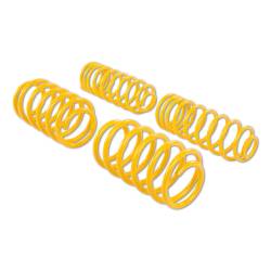 ST Suspensions - ST Suspensions 65820 Coated Steel Alloy Sport Springs - Image 1