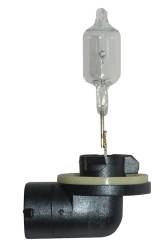 Hella - HELLA 888 Standard Series Light Bulbs 12V 50W PGJ13 T3.25 - Image 1