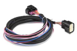 MSD - MSD Ignition 60143 24x/1x & 58x/4x Crank/Cam Ignition Controller Black - Image 4