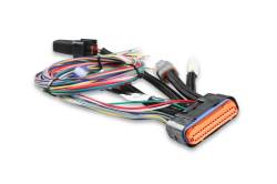 MSD - MSD Ignition 7730 Power Grid Ignition System Controller - Image 7