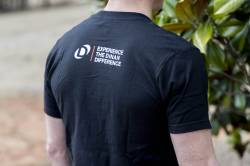 Dinan - Dinan D020-1005-M T-Shirt Medium Black - Image 7