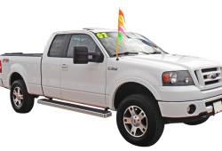 APS - APS iStep 6" Running Boards-Brushed 04-08 Ford F150 Extended IB06FJJ5A - Image 2