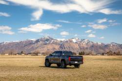 ReadyLift - ReadyLift 69-52310 3" SST Lift Kit for 22-25 Toyota Tundra 2WD/4WD - Image 2