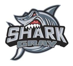 Proform - ProForm 141-882 Air Cleaner Kit 14" Diameter Shark Gray Chevrolet Red Emblems - Image 4