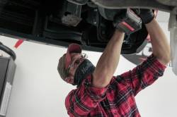 Holley - Holley Performance 36-499 Dust Mask - Image 8