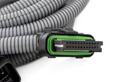 Rough Country Suspension Systems - Rough Country 90051 Speedometer Calibrator for 24-25 Silverado/Sierra HD - Image 3