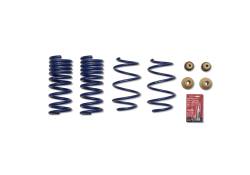 Ford Performance Parts - Ford Performance M-5300-XA Street Lowering Spring for 15-23 Ford Mustang - Image 15