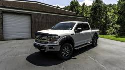 Auto Ventshade AVS - Auto VentShade 25941 Bugflector II Stone/Bug Deflector for 15-20 F150 - Image 2