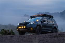 Rigid Industries - Rigid Industries 262214 D-SS Spot w/Amber PRO Lens Pair - Image 4