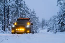 Rigid Industries - Rigid Industries 262214 D-SS Spot w/Amber PRO Lens Pair - Image 5