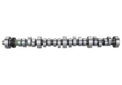 Ford Performance Parts - Ford Racing M-6250-B303 Hydraulic Roller Tappet Camshaft Small Block V8 - Image 119