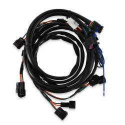 MSD - MSD Ignition 4350 Universal 4-Cyl Engines Launch Master Coil-on-Plug - Image 5