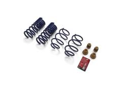 Ford Performance Parts - Ford Performance M-5300-XA Street Lowering Spring for 15-23 Ford Mustang - Image 142