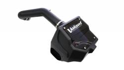 Volant - Volant 19950D Air Intake w/DryTech 3D Filter for 15-18 Ford F150 5.0L V8 - Image 1