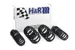 H&R Special Springs LP - H&R 50396 Sport Spring for Audi A4 Quattro - Image 1