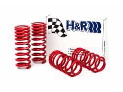 H&R Special Springs LP - H&R 51650-88 Race Spring Ford Mustang V6/GT Coupe - Image 2