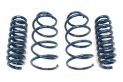 Dinan - Dinan D100-0925 BMW Convertible/Sedan 3.0 Coil Spring Set - Image 1