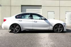 Dinan - Dinan D100-0931 16-18 BMW 340i Base 3.0 Coil Spring Set - Image 2