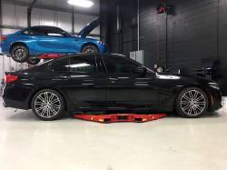 Dinan - Dinan D100-0933 17-23 BMW 540i Base 3.0 Coil Spring Set - Image 2