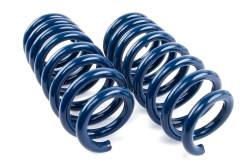 Dinan - Dinan D100-0935 BMW Sport Utility 3.0 Coil Spring Set - Image 2