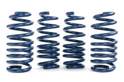 Dinan - Dinan D100-0936 BMW Sport Utility 4.4 Coil Spring Set - Image 2