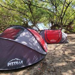 AirBedz - AirBedz PPI-POPUP2X Pittman Outdoors Instant Pop-Up Ground Tent 2-Person - Image 2