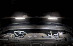 Pacer Performance - Pacer 20-727 20-Diode Single Row LED Light Clear/White - Image 2