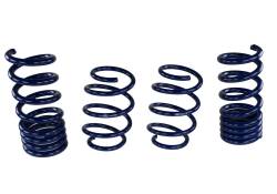 Ford Performance Parts - Ford Racing M-5300-W Lowering Springs Kit for 15-17 Ford Mustang - Image 39