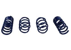 Ford Performance Parts - Ford Racing M-5300-W Lowering Springs Kit for 15-17 Ford Mustang - Image 148