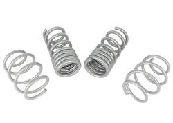 Whiteline - Whiteline WSK-FRD011 WL Coil Springs Lowered for 18-25 Mustang - Image 1