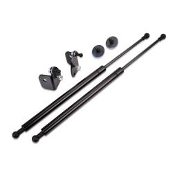 IAG Performance - IAG Performance IAG-BDY-F1002BK EZ-Lift Hood Struts - Image 1