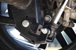 Rough Country Suspension Systems - Rough Country 10589 Rear Lower Control Arm Skid Plates for Jeep Wrangler JL - Image 3